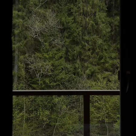 Hébergement de vacances Berghaus Bukovel