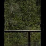 Дом отдыха Berghaus Буковель